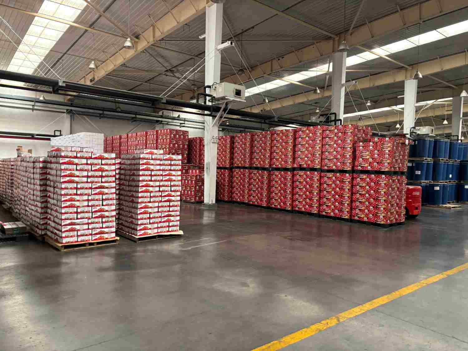 Export Coordination and Documentation