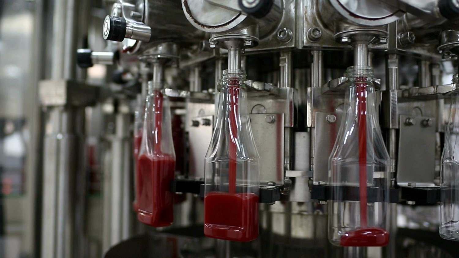 Tomato Paste Manufacturer for Nigeria